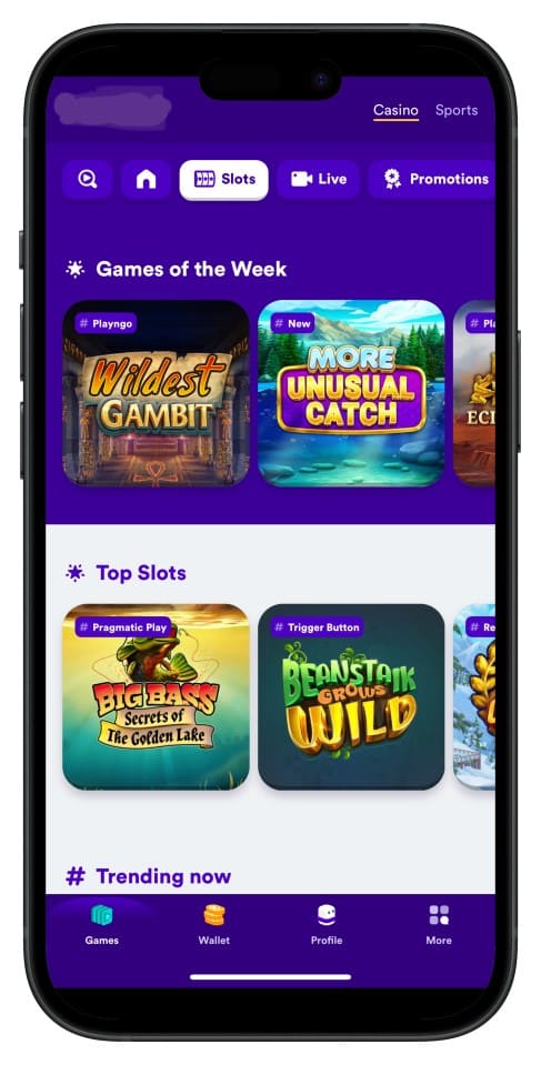 Screenshot showing 3333bet App interface with intuitive menus and game choices